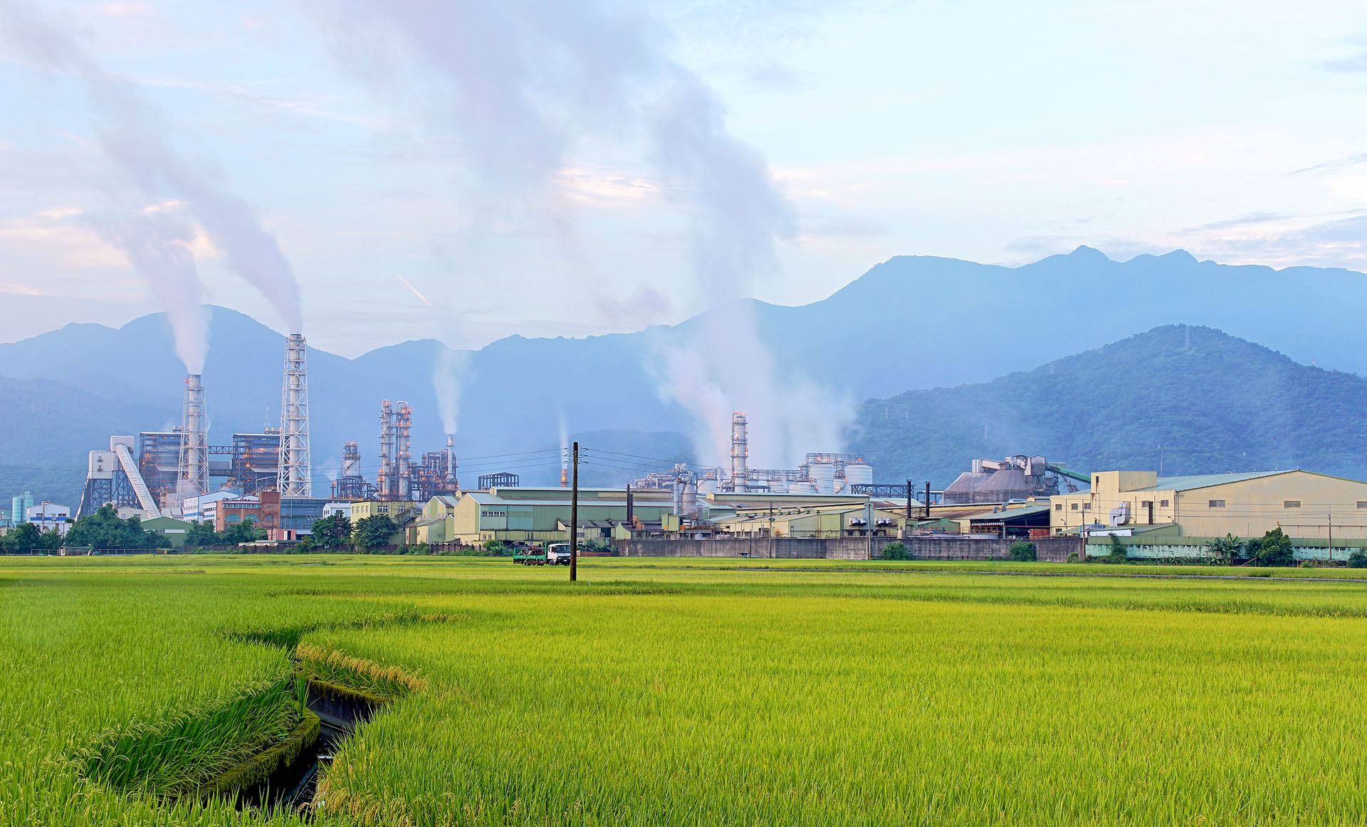 Decoration background